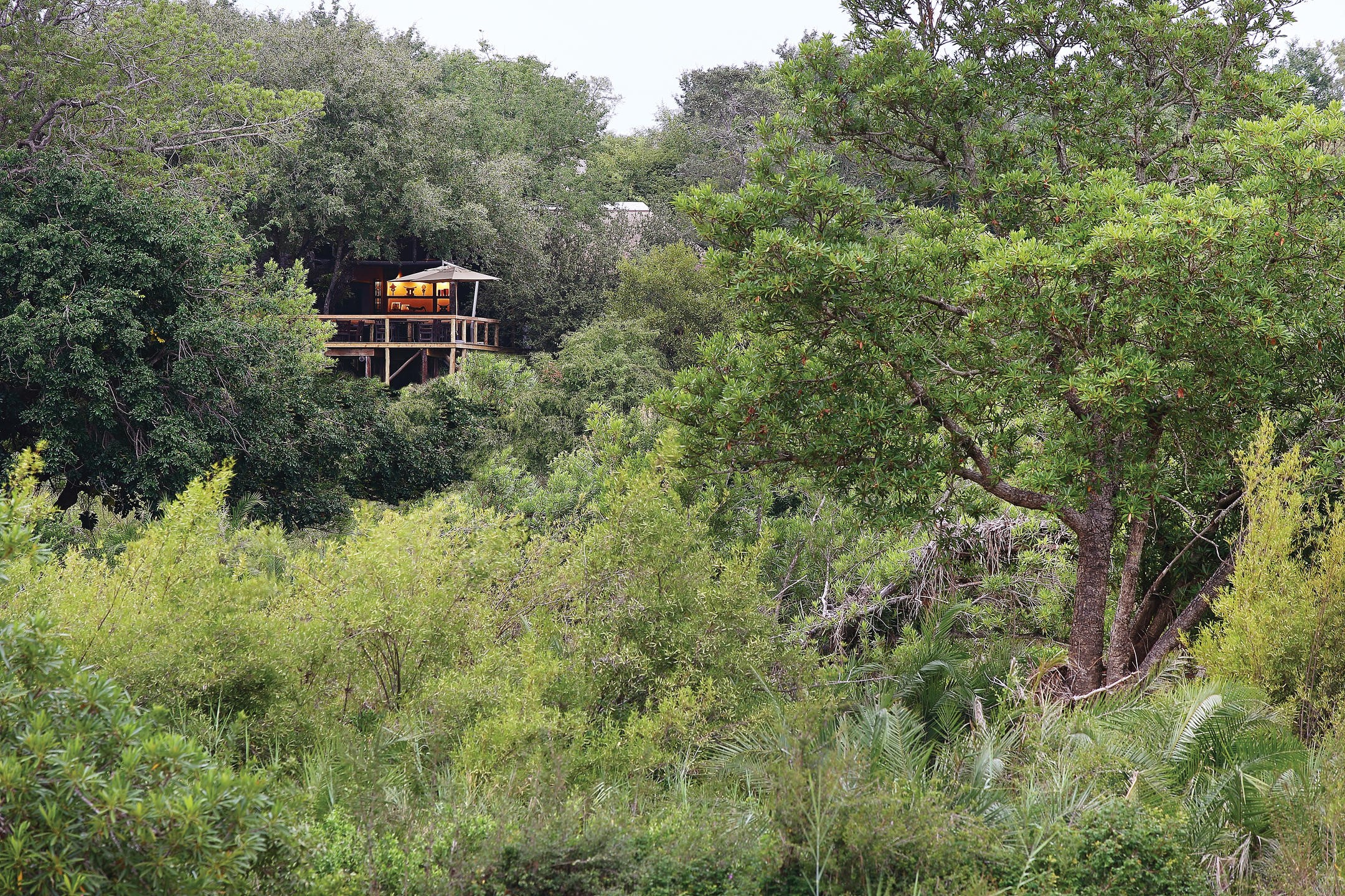 Londolozi Tree Camp